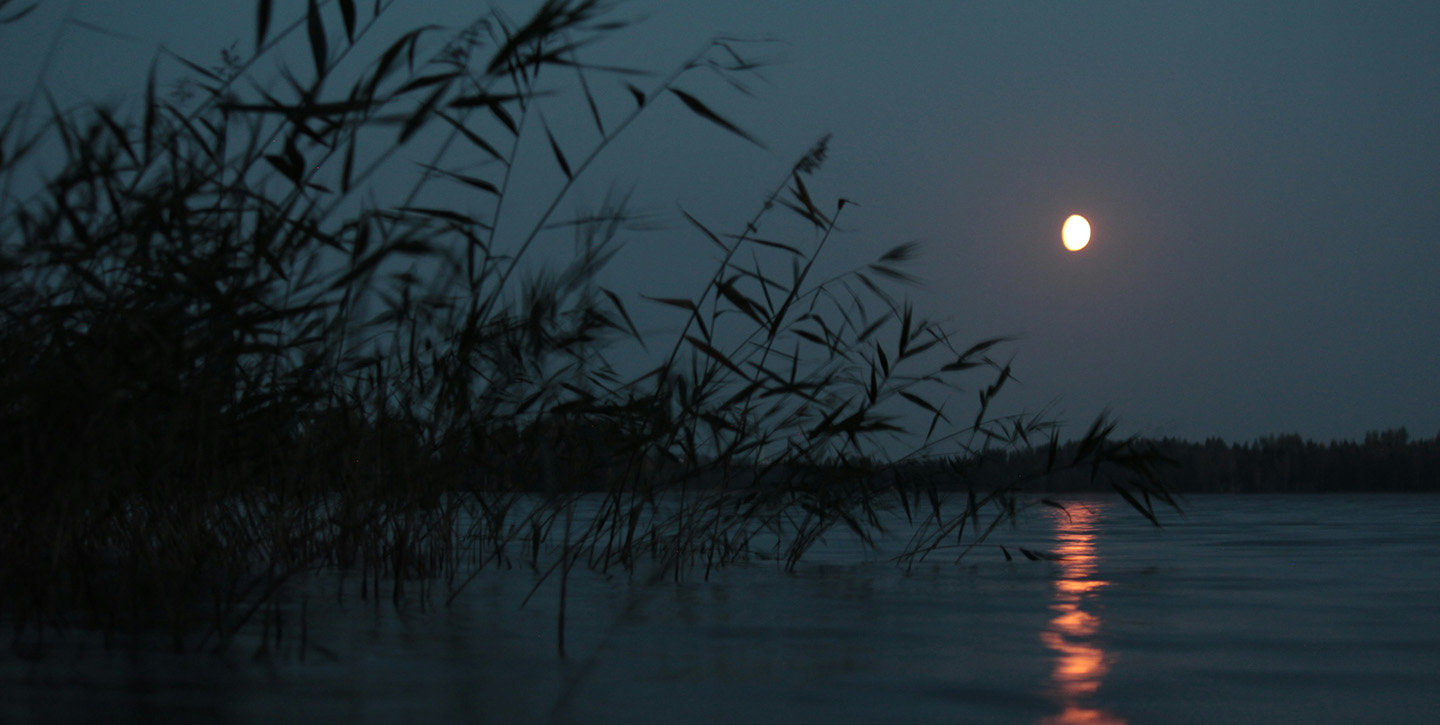 Lake at night
