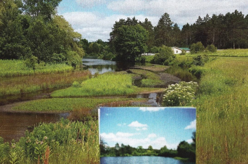 Chippewa Creek - used to be a lake
