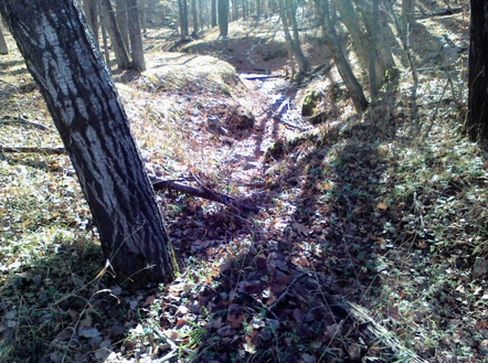 Former Evart trout stream